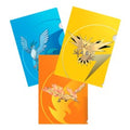 Ultra Pro Pokemon 3-Pack Tournament Folio Series 3