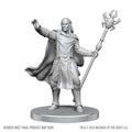 D&D Nolzur's Marvelous Miniatures: Drow Mage & Yochlol